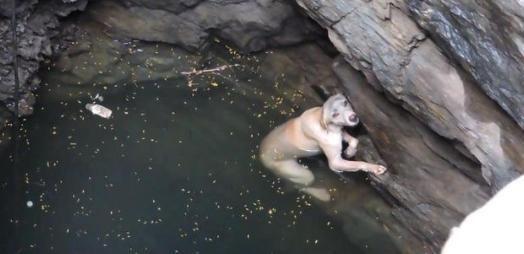 开云体育入口-关于筋疲力尽取得胜利，旷世奇迹终于诞生的信息